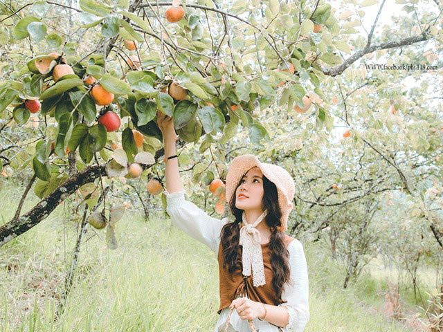Check-in vườn hồng ở Đà Lạt