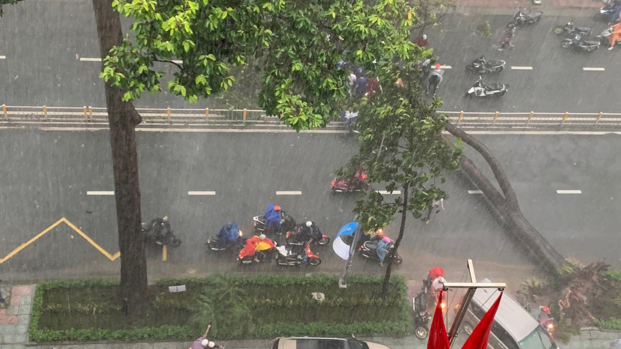 Trời mưa, cây xanh bật gốc đè một người đi đường