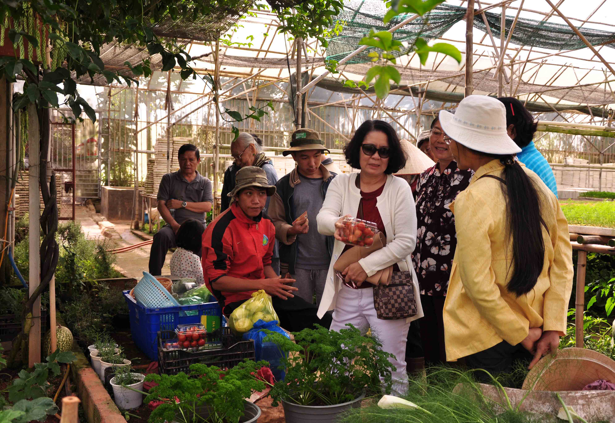 V&igrave; sao du lịch canh n&ocirc;ng đang b&ugrave;ng nổ ở Đ&agrave; Lạt lại bị tạm ngừng cấp ph&eacute;p? - Ảnh 2.