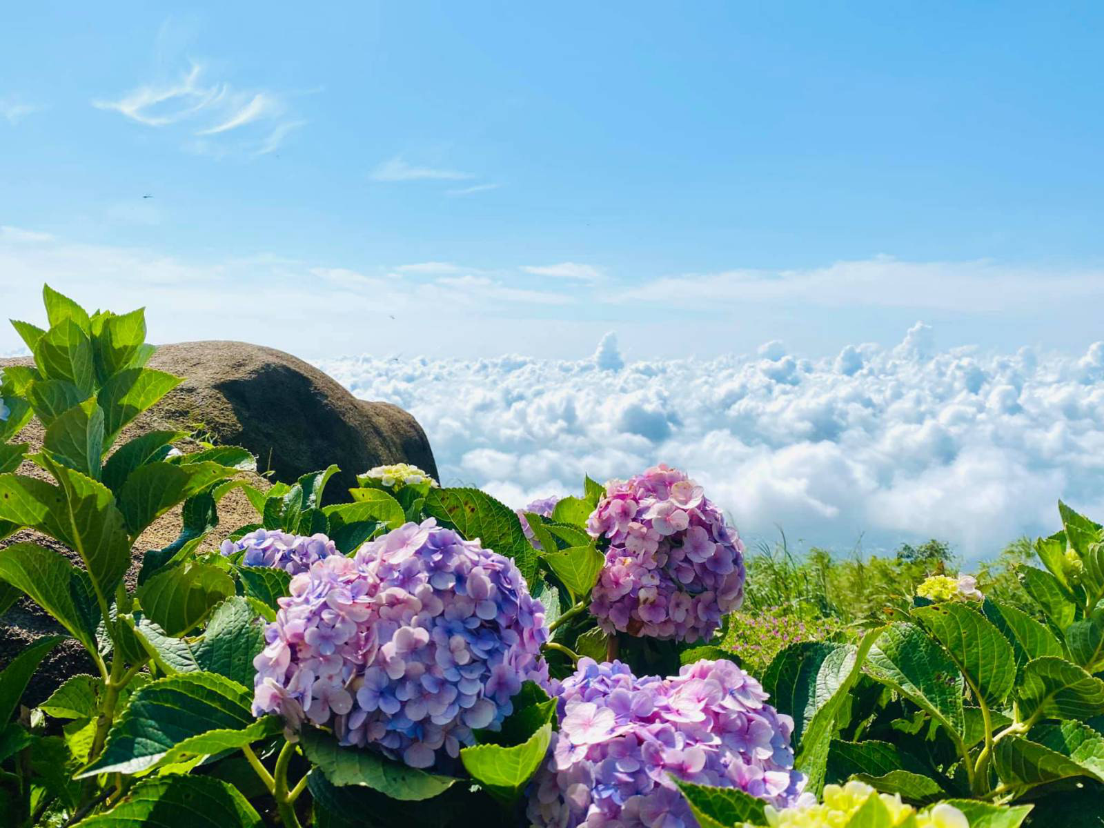 Đêm hội trăng rằm tưng bừng chưa từng có trên đỉnh núi Bà Đen