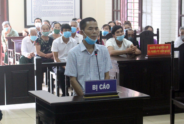 Vụ phá rừng VQG Phong Nha - Kẻ Bàng: Bị cáo khai chi lót tay cho nguyên Đồn trưởng mỗi tháng 10 triệu đồng - Ảnh 2.