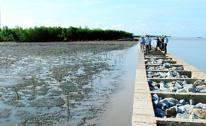 Cà Mau họp khẩn vụ sai phạm gần trăm tỉ đồng tại dự án nâng cấp đê biển Tây - Ảnh 5.