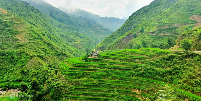 Cuối tuần đổi gi&oacute; ở Ho&agrave;ng Su Ph&igrave; - Ảnh 1.