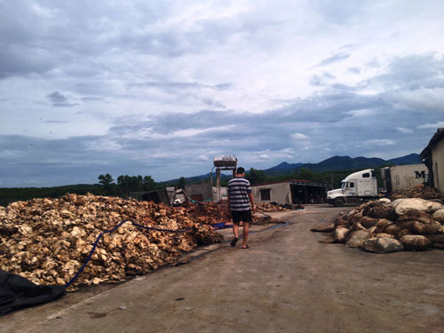 Dân kêu trời vì... ô nhiễm