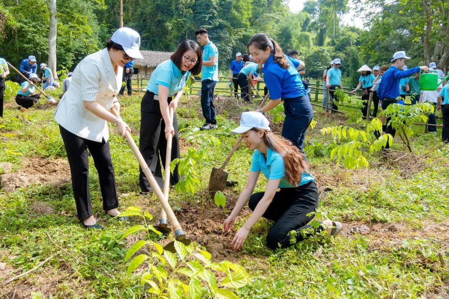 Năm 2020 - Agribank gặt h&aacute;i nhiều giải thưởng trong nước v&agrave; quốc tế - Ảnh 3.