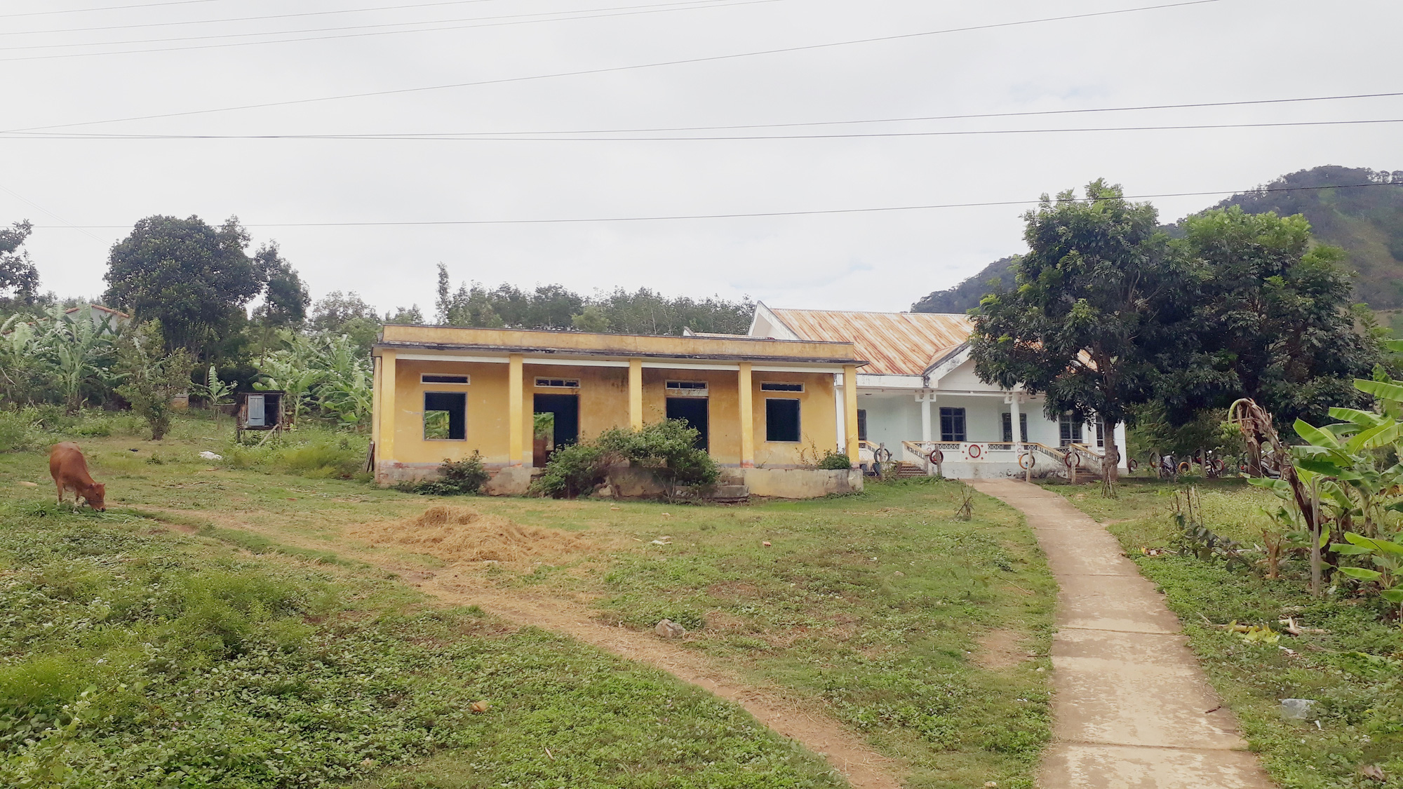 Hàng ngàn phòng học ở Tây Nguyên bỏ hoang
