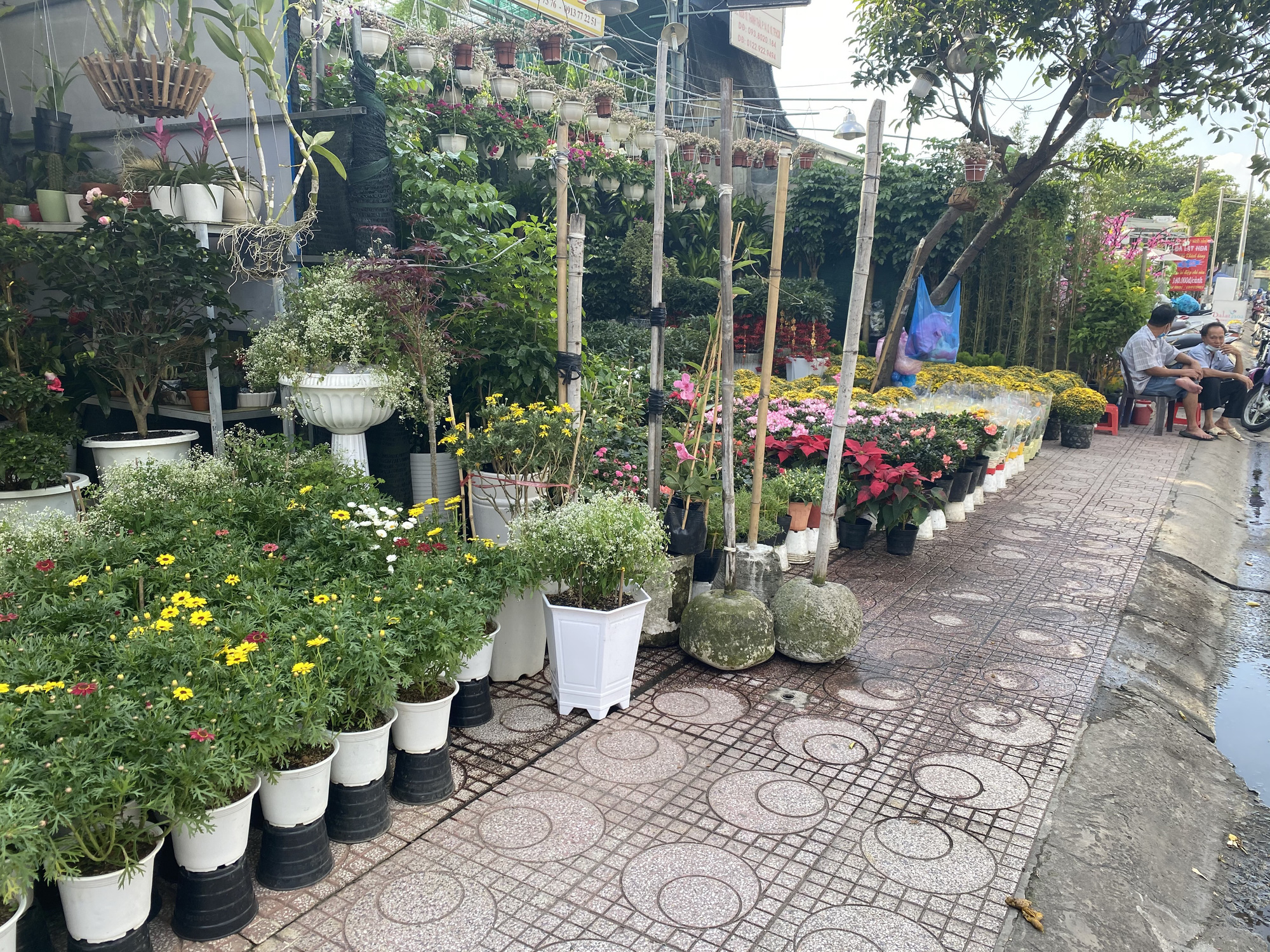 Hoa kiểng Tết đổ ra đường b&aacute;n sớm, gi&aacute; c&ograve;n kh&aacute; rẻ - Ảnh 1.