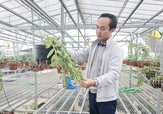 Nghệ nhân Minh Xa chia sẻ bí quyết chăm sóc hoa lan