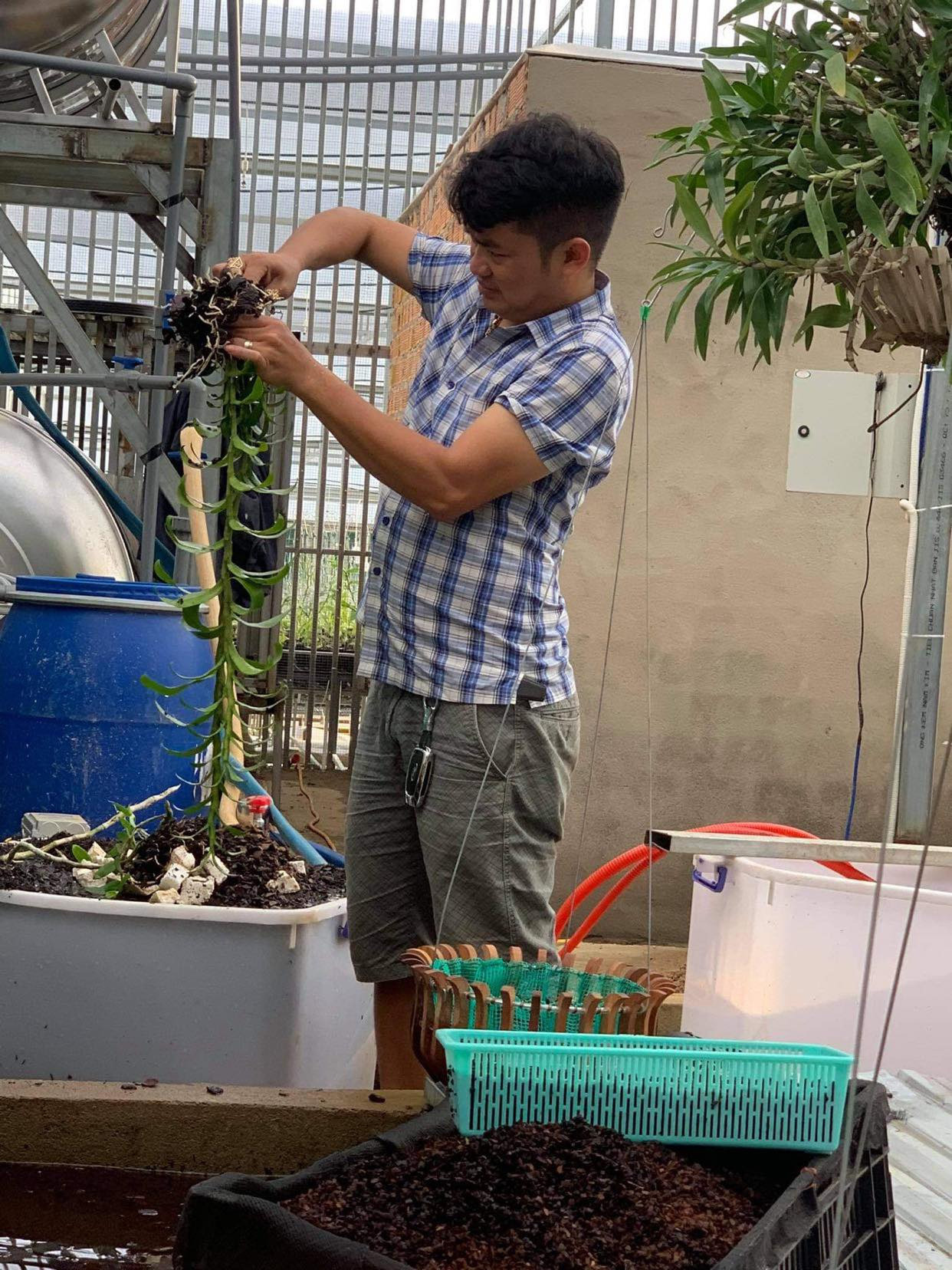 &Ocirc;ng chủ vườn lan Đ&agrave;m R&ocirc;̀ng Ngh&ecirc;̣  n&oacute;i về lan đột biến tiền tỷ - Ảnh 3.