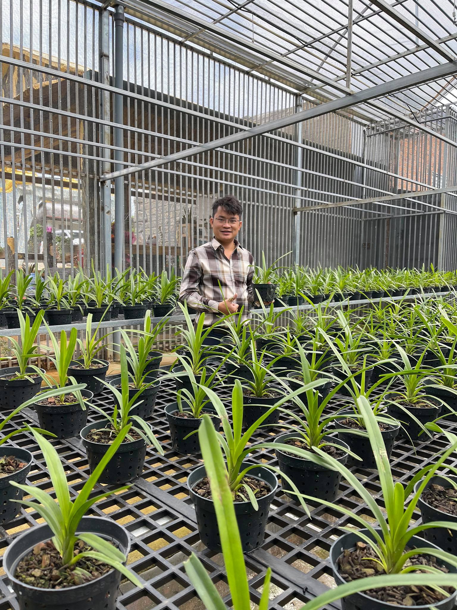 &Ocirc;ng chủ vườn lan Đ&agrave;m R&ocirc;̀ng Ngh&ecirc;̣  n&oacute;i về lan đột biến tiền tỷ - Ảnh 2.