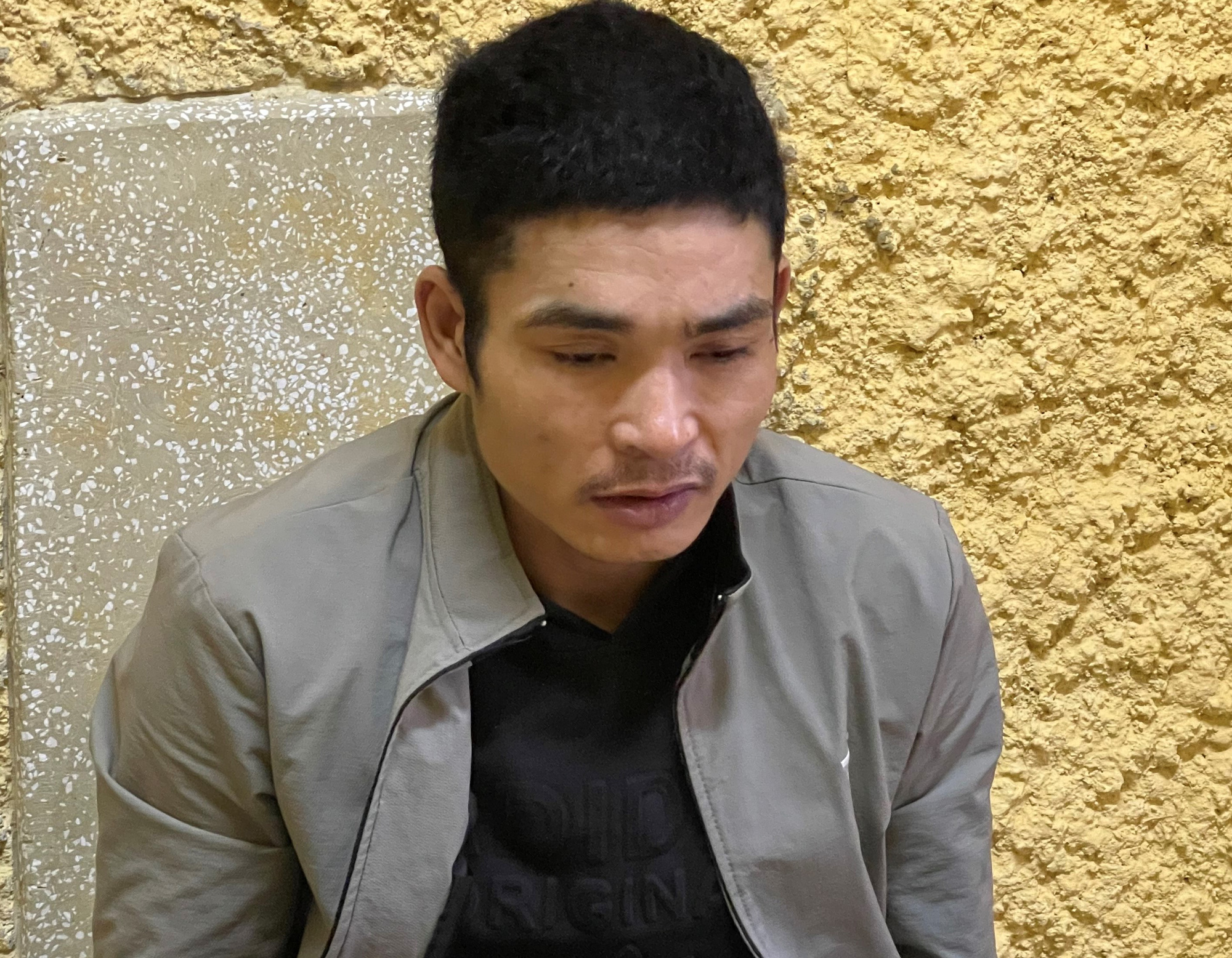 Bắt si&ecirc;u trộm g&acirc;y ra h&agrave;ng chục vụ trộm tiền, v&agrave;ng trị gi&aacute; h&agrave;ng tỉ đồng - Ảnh 1.
