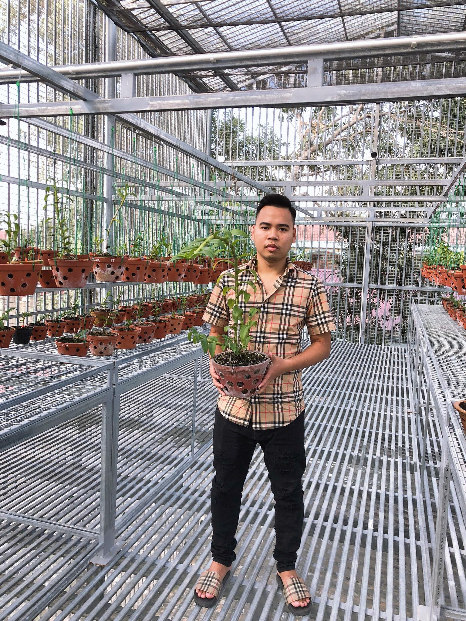 Nam Marboro v&agrave; cơ duy&ecirc;n với nghề trồng hoa phong lan - Ảnh 1.