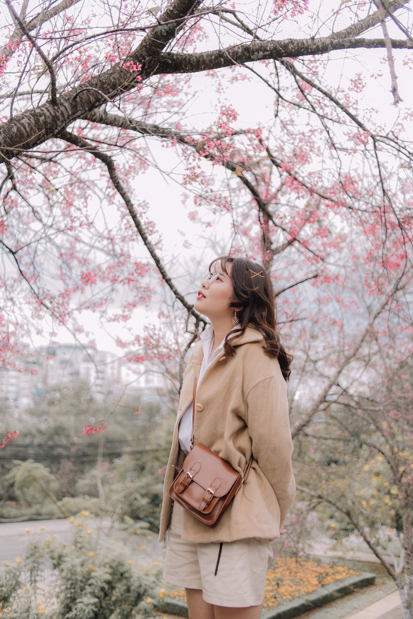 Nơi ngắm hoa xuân ở Đà Lạt - Ảnh 1.