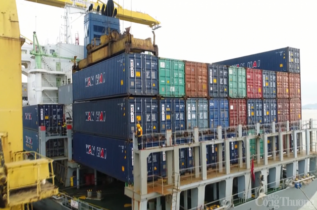 Không thể trông vào 3.000 container vô chủ để “lấy nguồn” container rỗng cho xuất khẩu