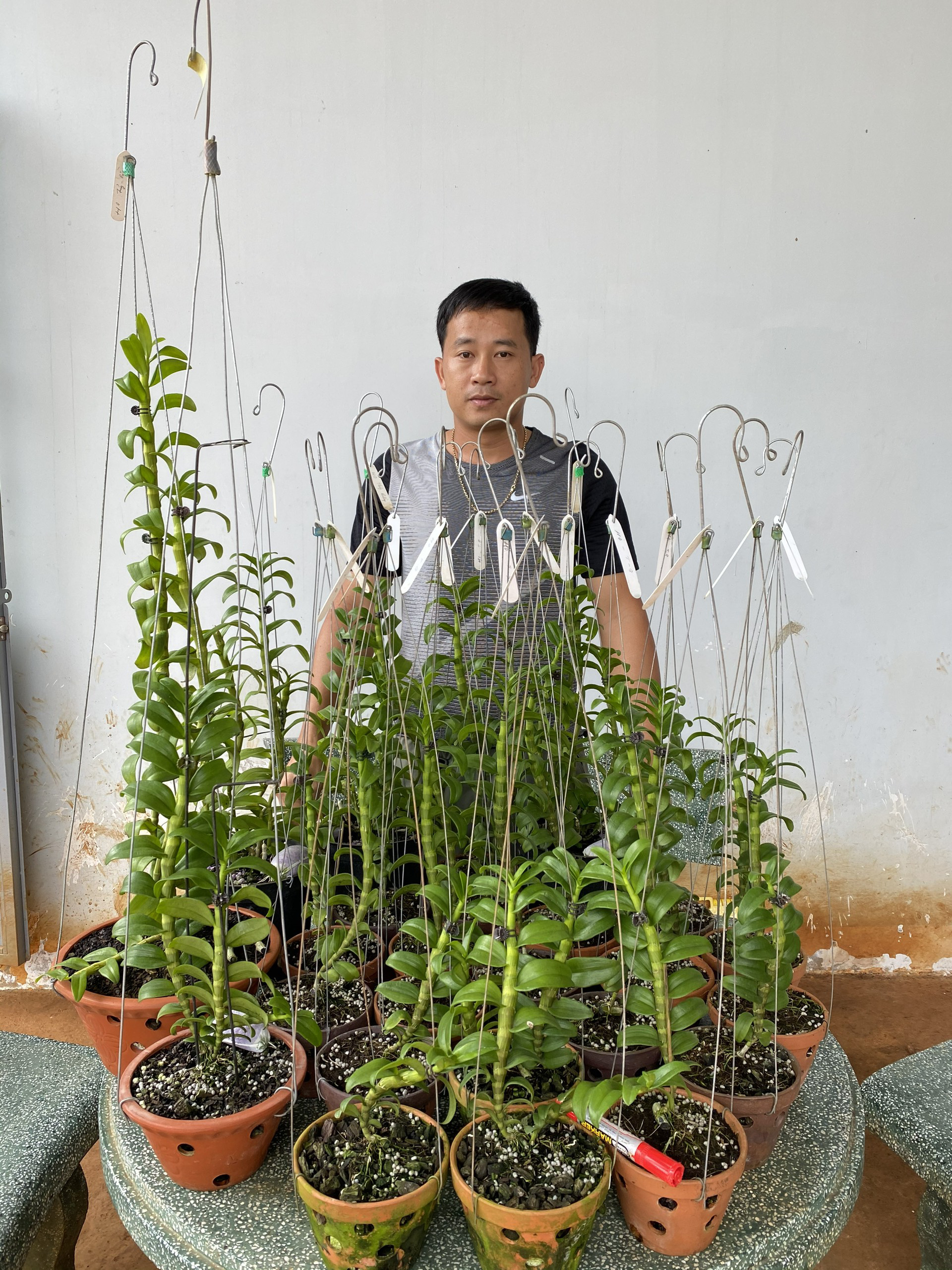 Phạm Thăng Bằng và gia sản lan rừng của chàng trai phố núi - Ảnh 1.