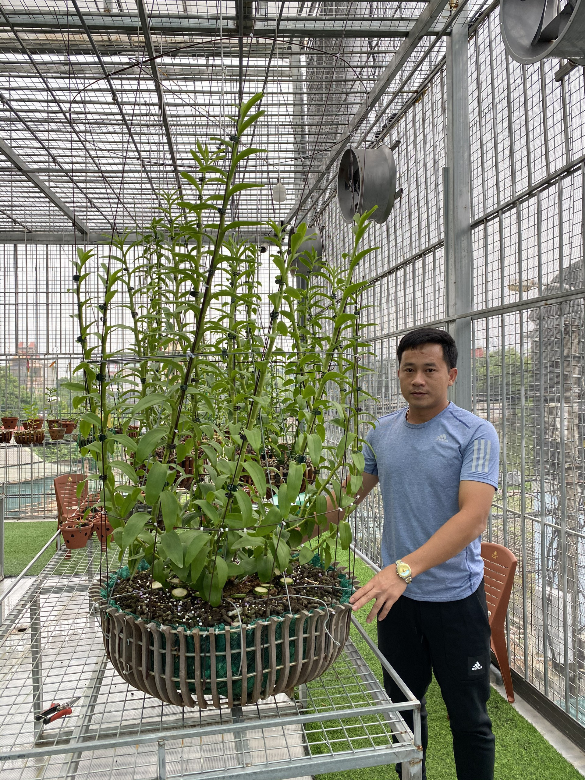 Phạm Thăng Bằng và gia sản lan rừng của chàng trai phố núi - Ảnh 4.