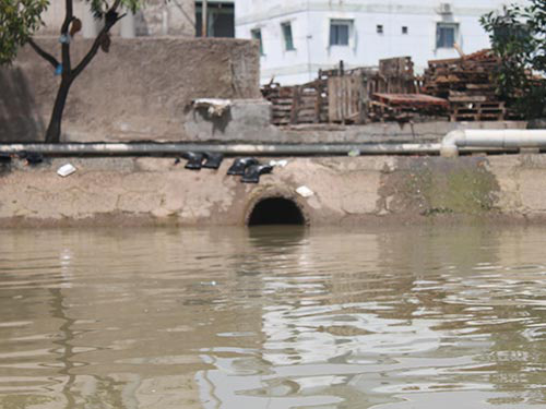 Dừng hoạt động 7 năm, Công ty Hào Dương vẫn nợ Nhà nước 8,6 tỉ đồng