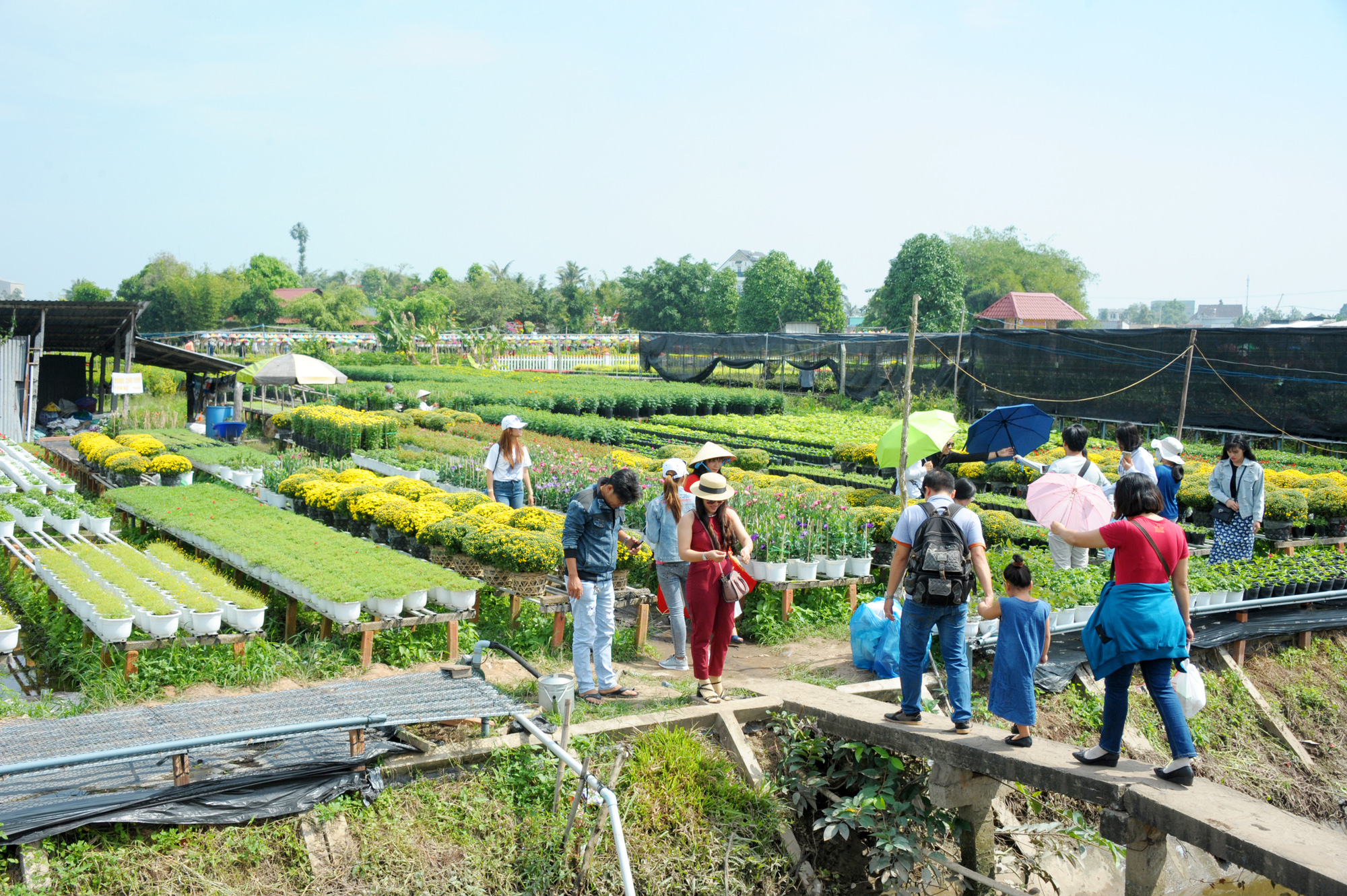 Sức mạnh trong nguy nan