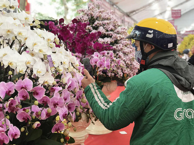 Bỏng tay với chậu lan Hồ điệp giá 165 triệu đồng cho đại gia chơi Tết - Ảnh 8.