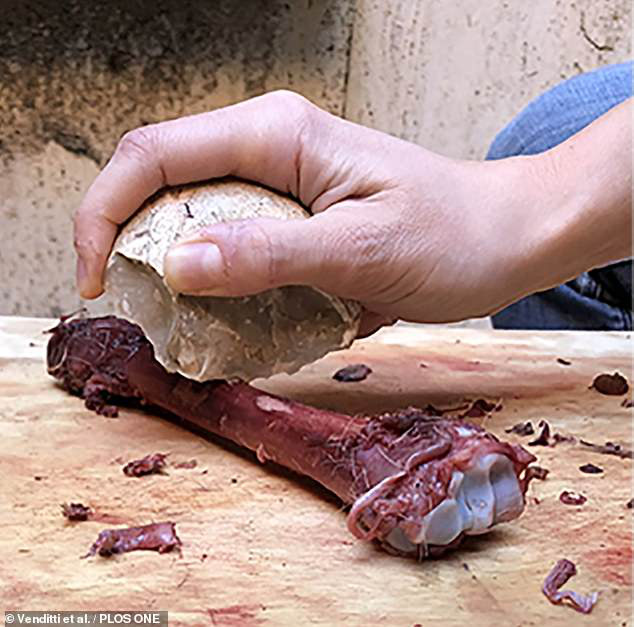Ph&aacute;t hiện sốc từ gia t&agrave;i của lo&agrave;i người ma 2,6 triệu tuổi - Ảnh 3.
