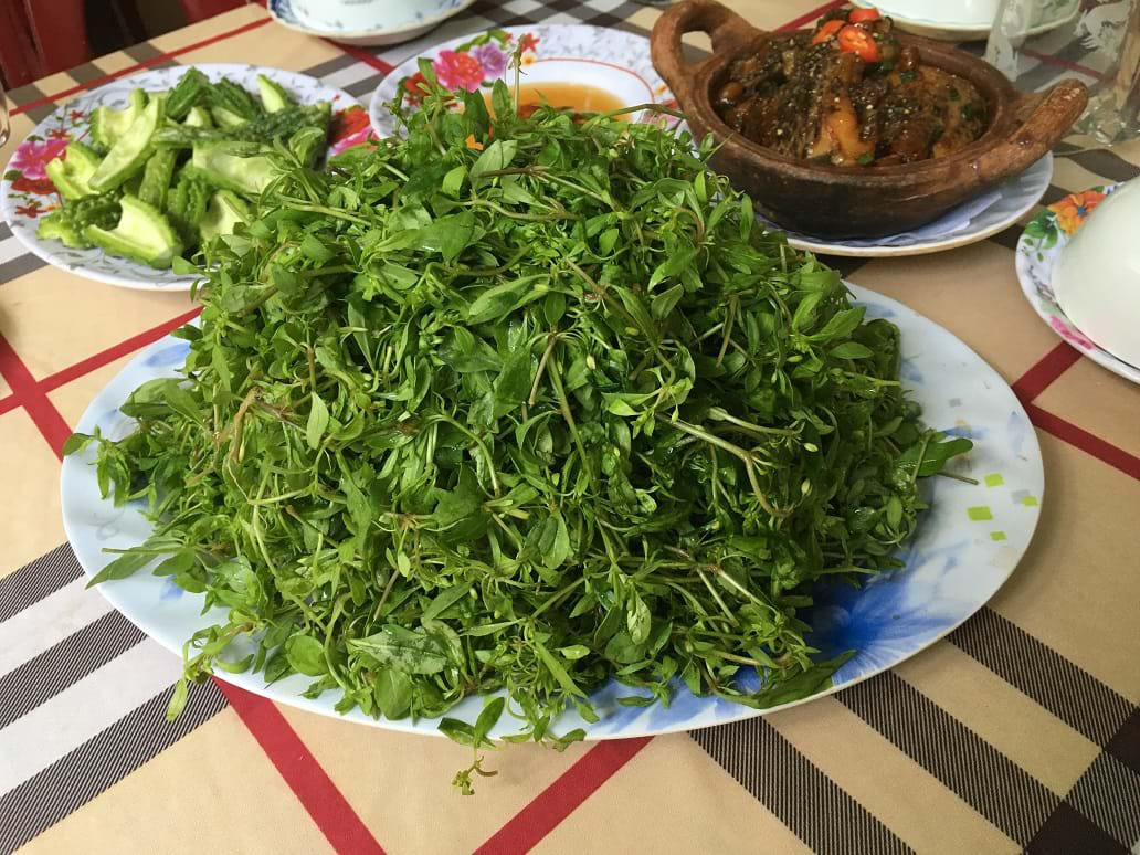 Lần đầu thử m&oacute;n canh &ldquo;t&igrave;m sướng trong đa khổ&rdquo; - Ảnh 1.