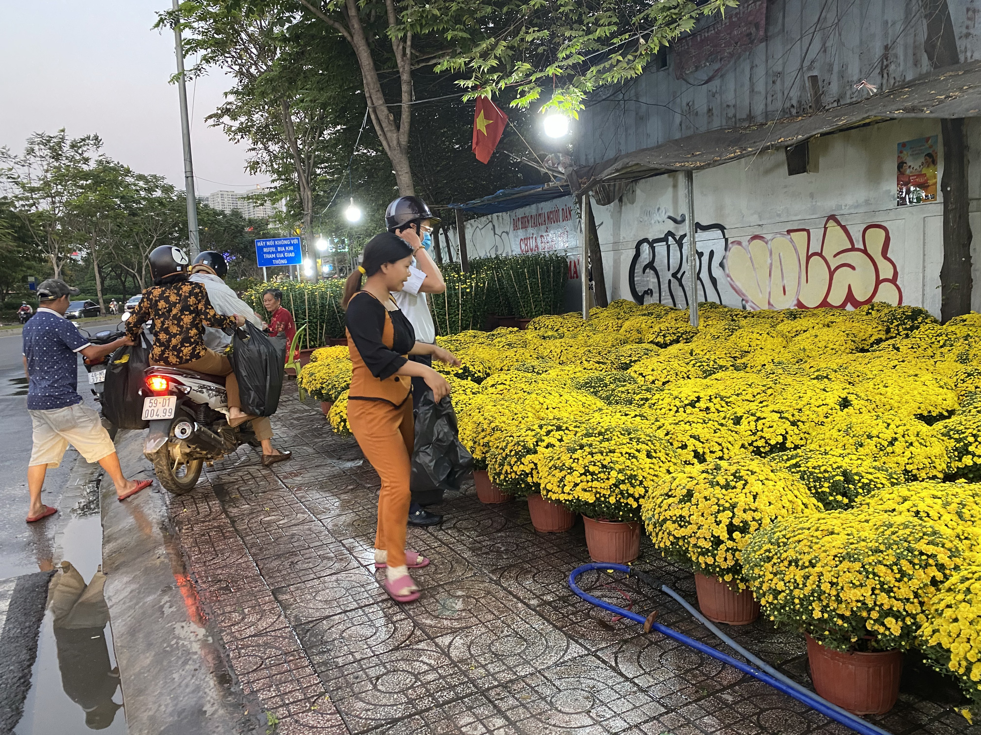 Hoa kiểng Tết tràn về TP HCM, giá hợp lý - Ảnh 4.