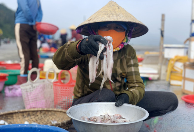 Loài cá làm thức ăn cho heo thành đặc sản ngày lạnh, ngư dân trúng đậm đầu năm - Ảnh 8.