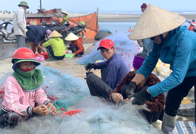 Loài cá làm thức ăn cho heo thành đặc sản ngày lạnh, ngư dân trúng đậm đầu năm - Ảnh 7.