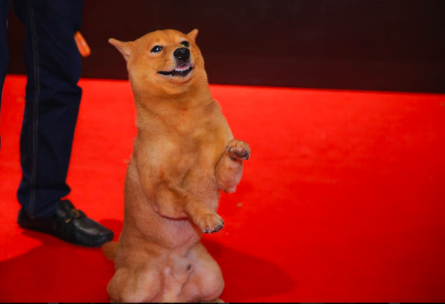 Gây nhiều tranh cãi, Cậu Vàng thu hút rừng sao đến buổi ra mắt phim - Ảnh 5.