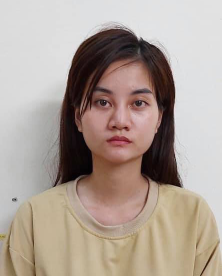 Th&ocirc;ng tin mới vụ đường d&acirc;y mang thai hộ gi&aacute; tới 750 triệu đồng/lần, người đẻ thu&ecirc; chủ yếu l&agrave; sinh vi&ecirc;n - Ảnh 1.