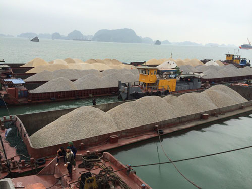 Vụ doanh nghiệp mất tiền tỉ vì công văn... hỏa tốc: Hải quan Quảng Ninh đề nghị tháo gỡ