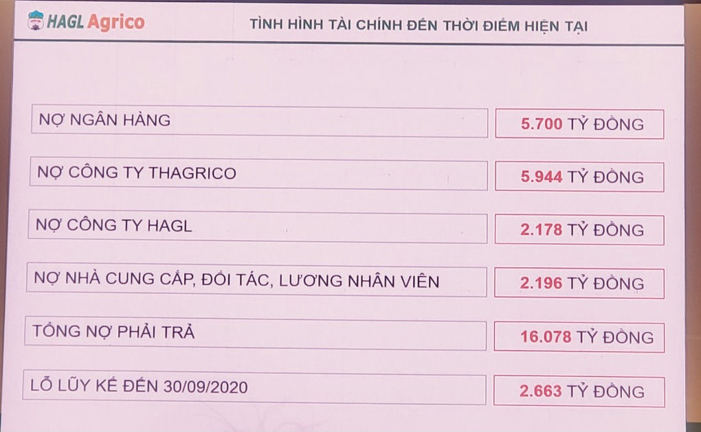 Bầu Đức: T&ocirc;i năn nỉ anh Trần B&aacute; Dương th&acirc;u t&oacute;m c&ocirc;ng ty t&ocirc;i - Ảnh 1.