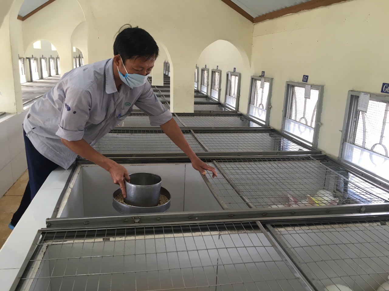 Ngắm đ&agrave;n thỏ trắng, mắt đỏ chuy&ecirc;n phục vụ y học tuyệt đẹp - Ảnh 4.