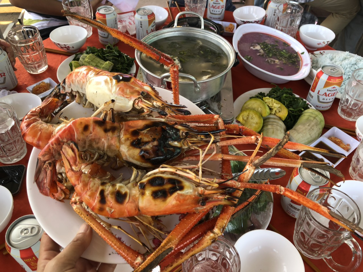 Về miền Tây dỡ chà bắt cá