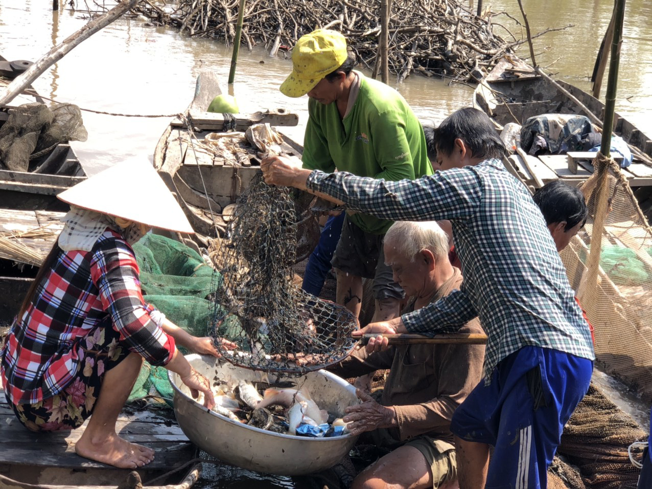 Về miền Tây dỡ chà bắt cá - Ảnh 8.