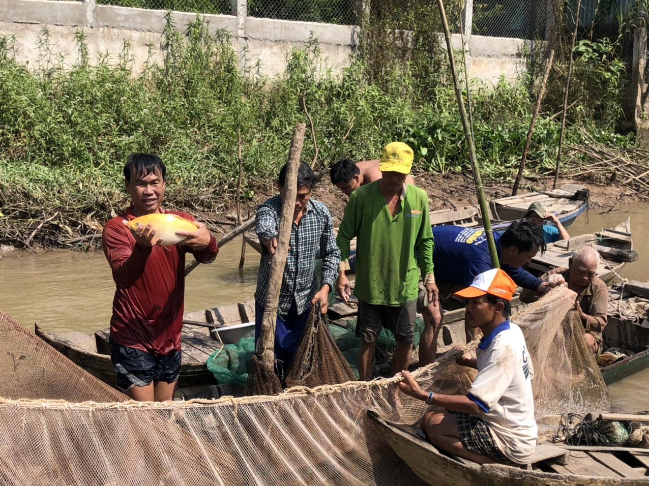 Về miền Tây dỡ chà bắt cá - Ảnh 7.