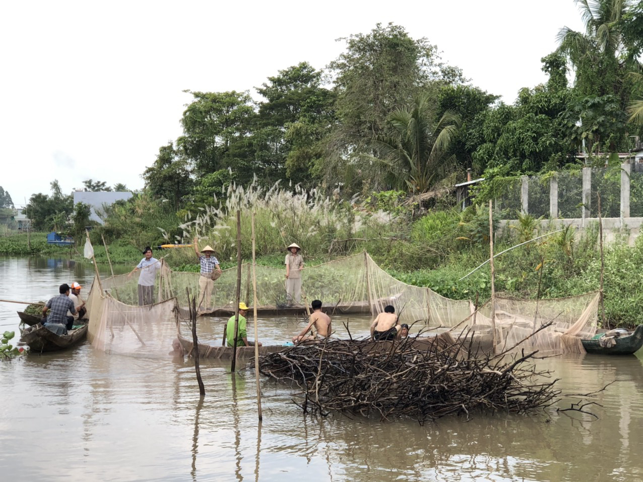 Về miền Tây dỡ chà bắt cá - Ảnh 2.
