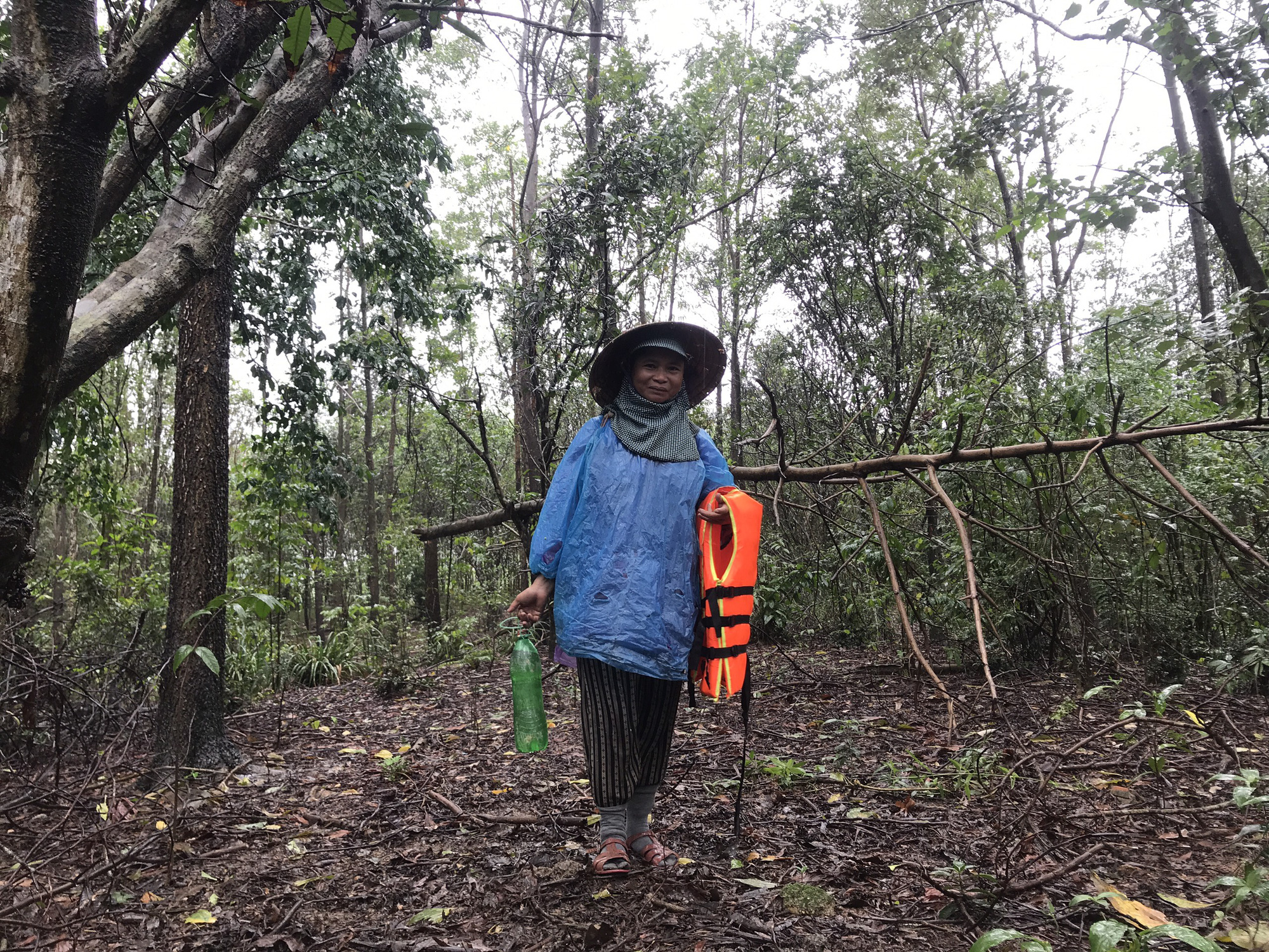 Chăn trâu giữ rừng - Ảnh 1.