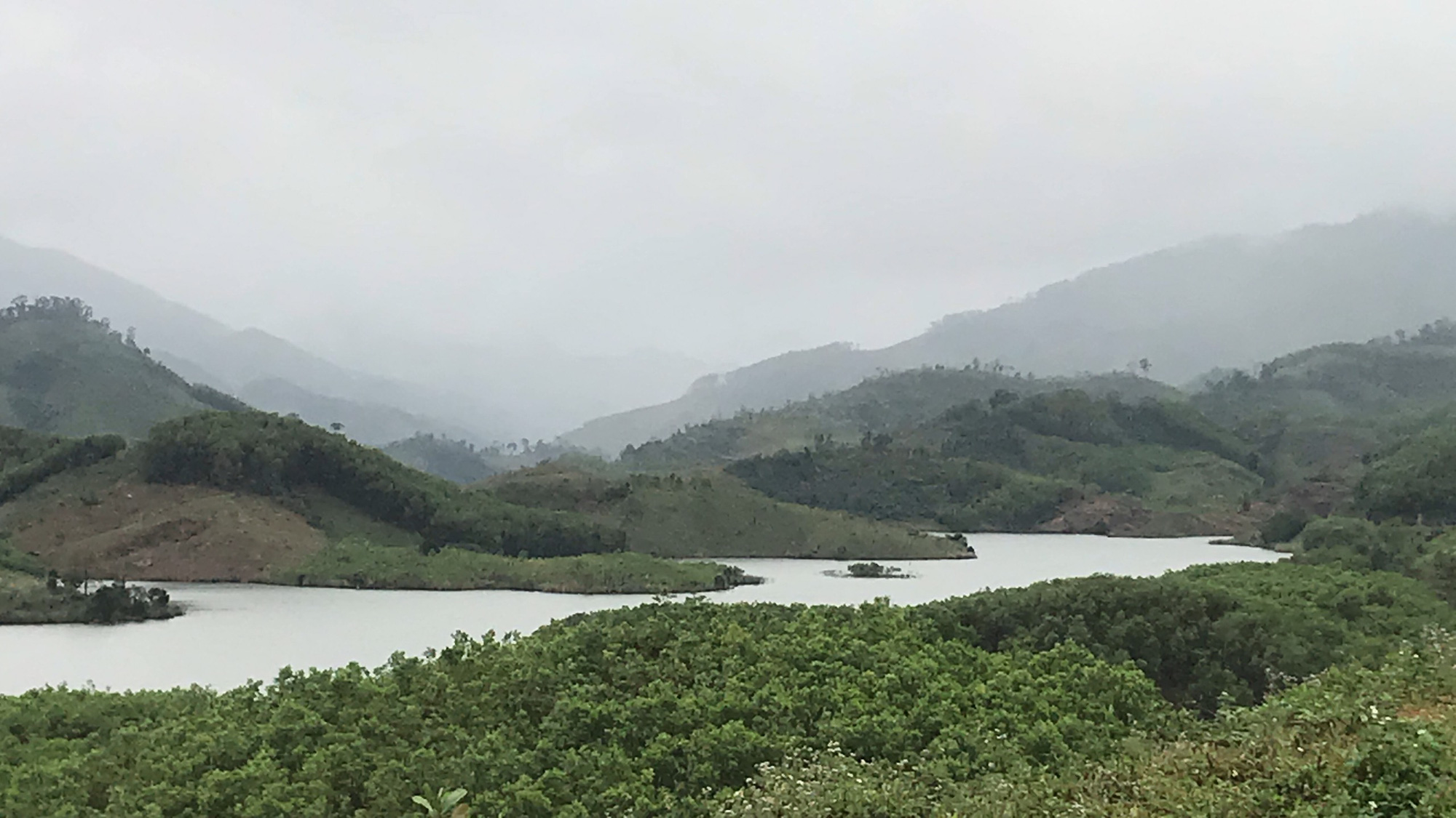 Chăn trâu giữ rừng - Ảnh 2.