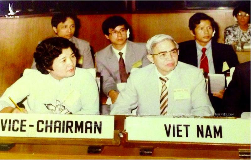 B&oacute;ng hồng đối ngoại: Nữ Đại sứ đập b&agrave;n v&agrave; cuộc đấu tranh ở Li&ecirc;n Hiệp Quốc của Việt Nam - Ảnh 2.