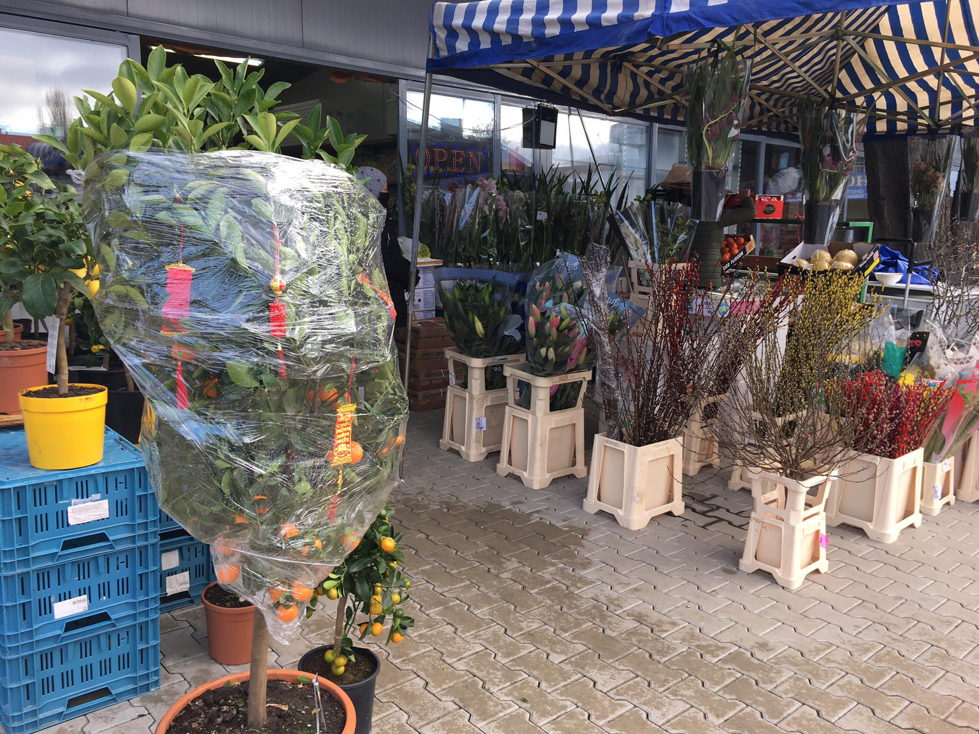 Người Việt đi sắm Tết ở tr&aacute;i tim của ch&acirc;u &Acirc;u - Ảnh 14.