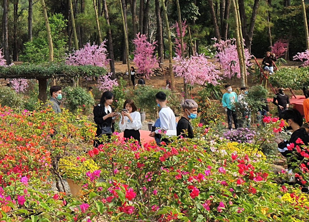 Thung lũng ngàn hoa - điểm "check in" lý tưởng của giới trẻ khi đến với Phủ Na