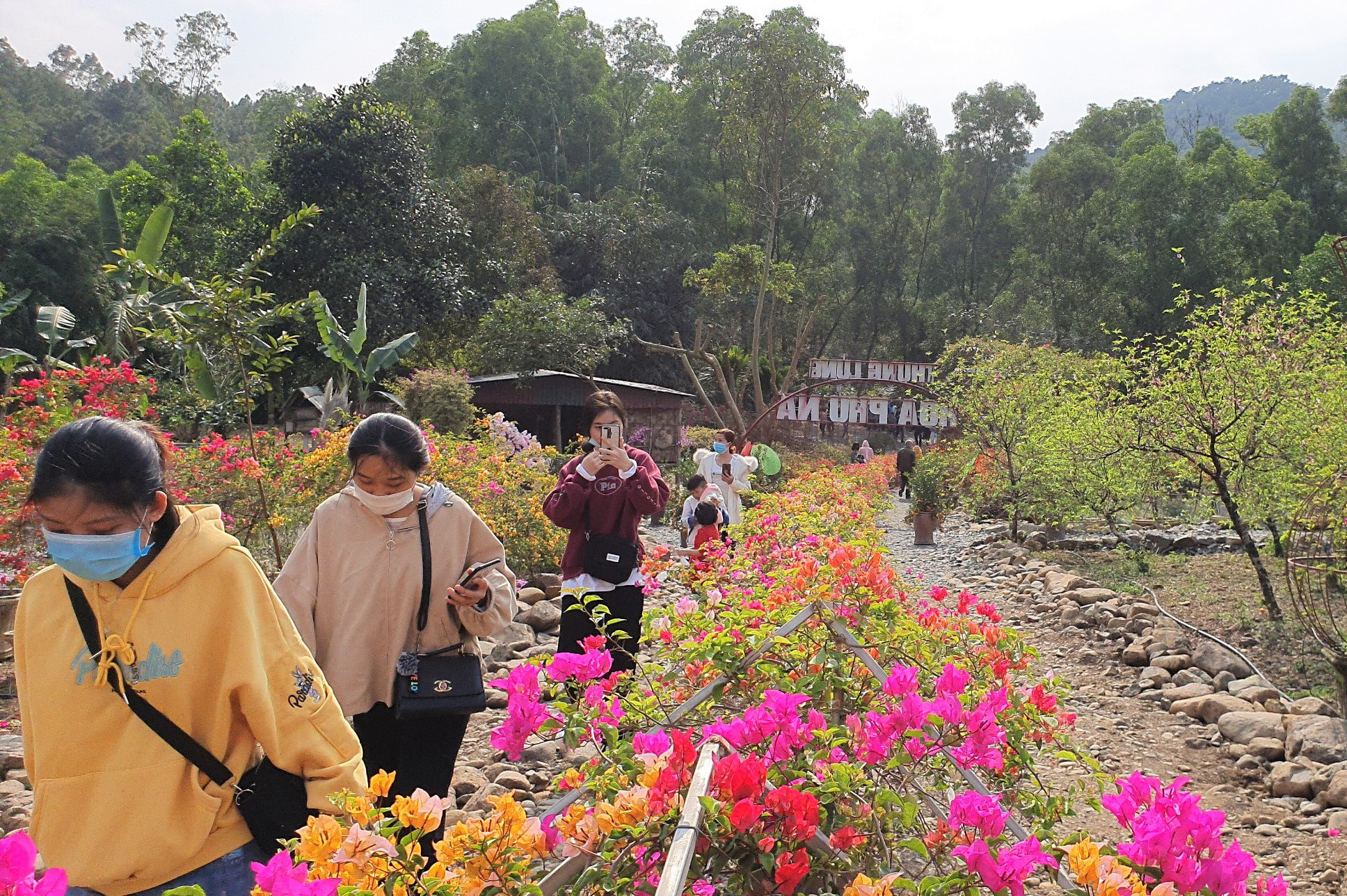 Thung lũng ng&agrave;n hoa - điểm check in l&yacute; tưởng của giới trẻ khi đến với Phủ Na - Ảnh 2.