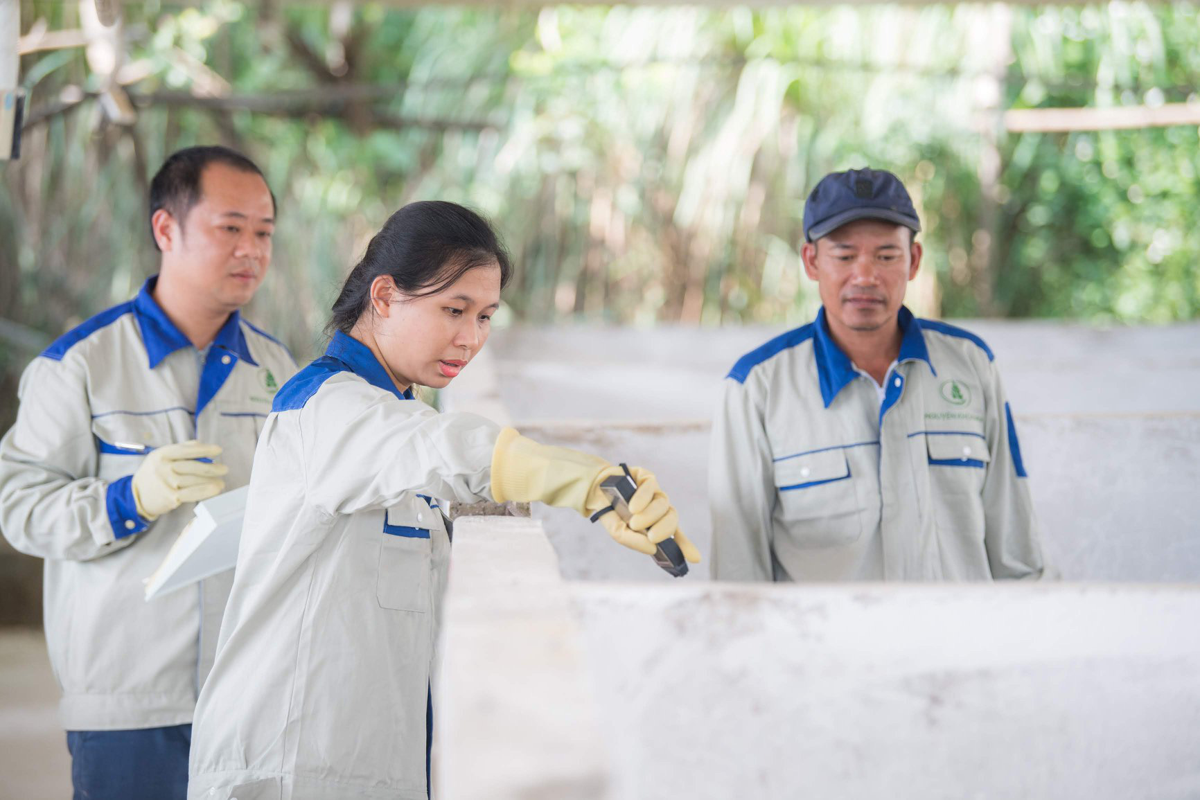 Về quê khởi nghiệp - xu hướng mới của giới trẻ
