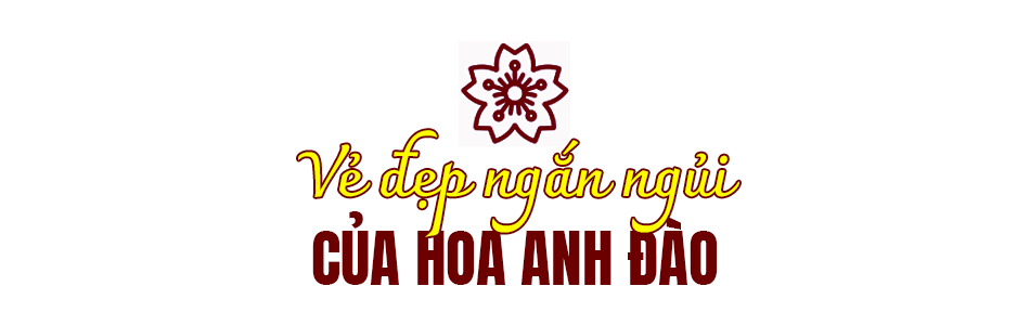 Chuyện chưa kể của phi công Thần Phong - Ảnh 6.