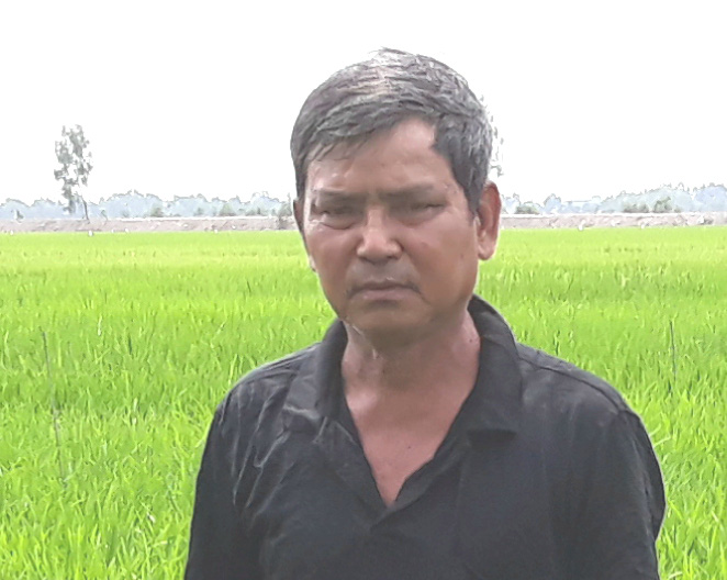 Gặp lại &ldquo;cha đẻ&rdquo; giống l&uacute;a lai v&ugrave;ng Bảy N&uacute;i - Ảnh 1.