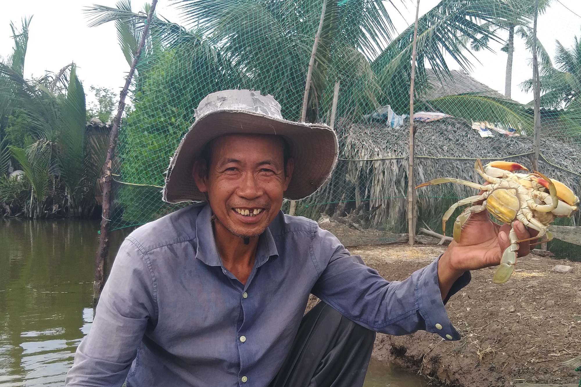Ngày Tết, cua biển ngon nhất miền Tây giá 1 triệu đồng/kg