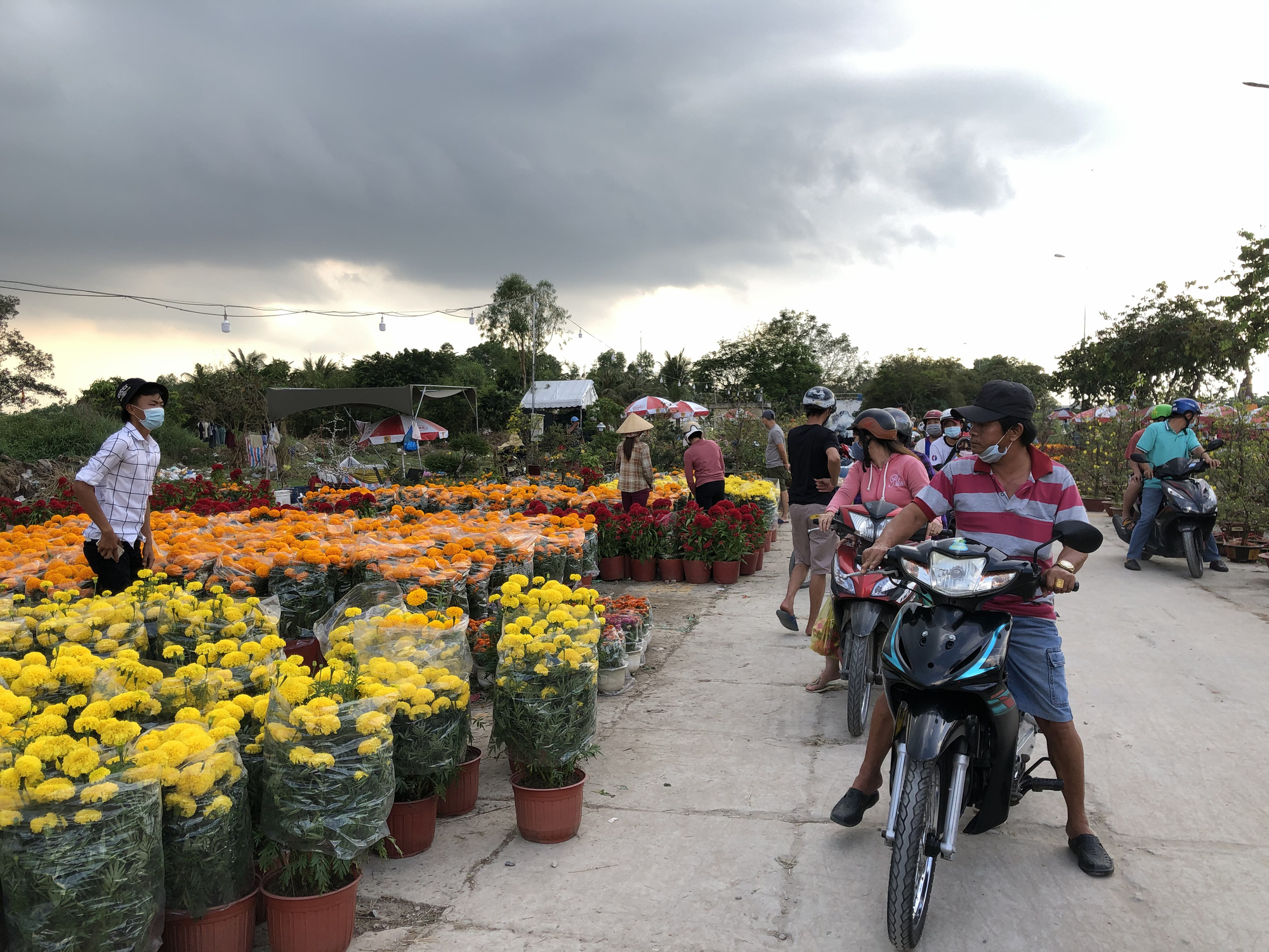 M&ugrave;a hoa Tết ở TP HCM kh&ocirc;ng c&ograve;n h&eacute;t gi&aacute;, b&aacute;n đổ b&aacute;n th&aacute;o  - Ảnh 1.
