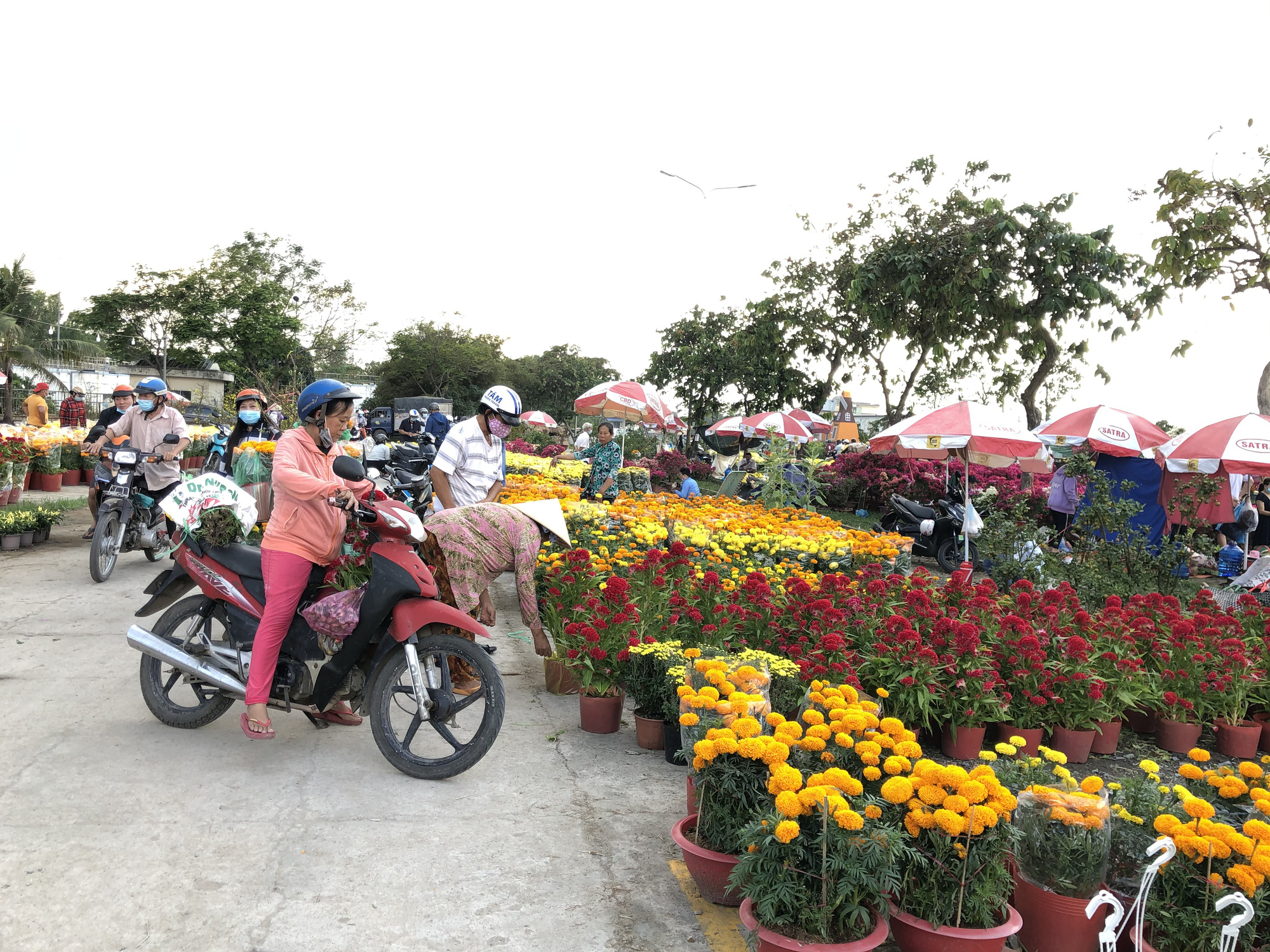Mùa hoa Tết ở TP HCM không còn hét giá, bán đổ bán tháo