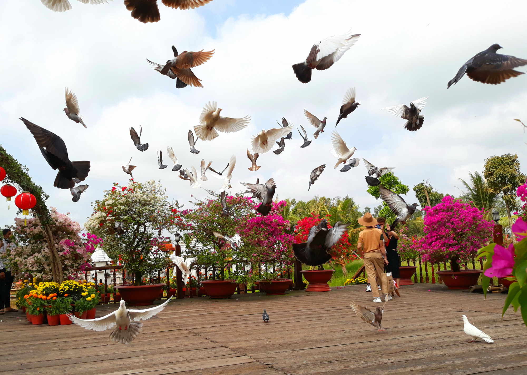 Thỏa sức check in chiếc cầu tre dài nhất Việt Nam giữa rừng tràm - Ảnh 6.